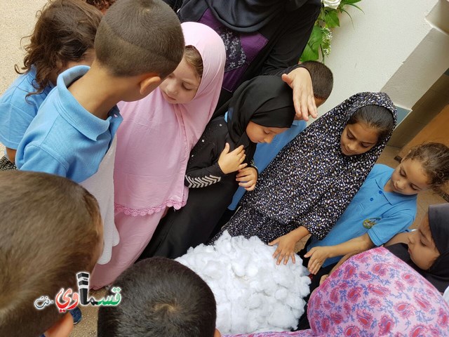   فيديو: بالتسامح والابتسامة العريضة مدرسة جنة ابن رشد تحتفل بعيد الأضحى وتؤدي مناسك الحج   